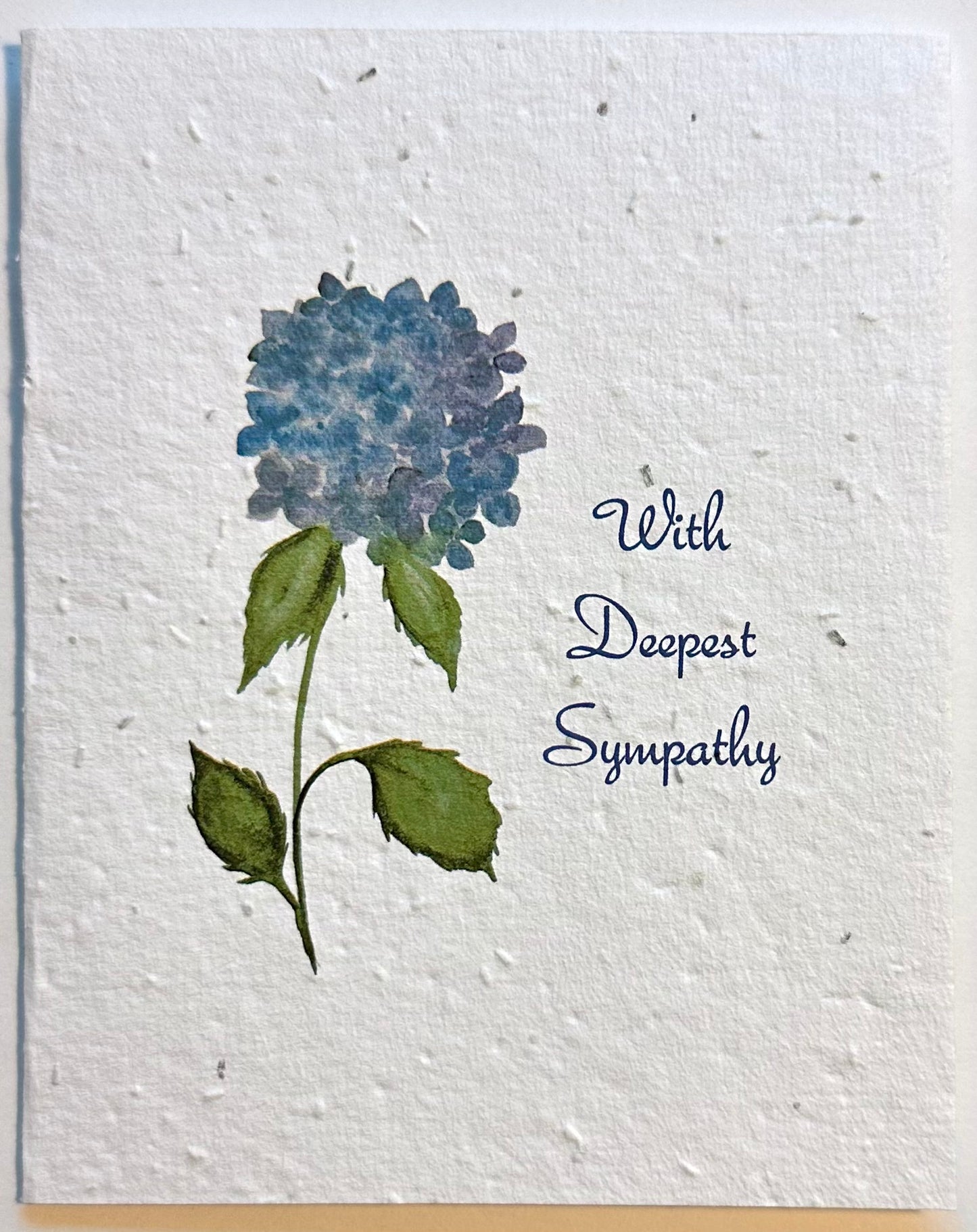 Hydrangea - Sympathy