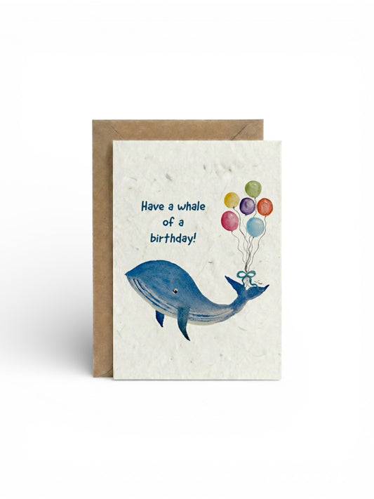 Whale HB