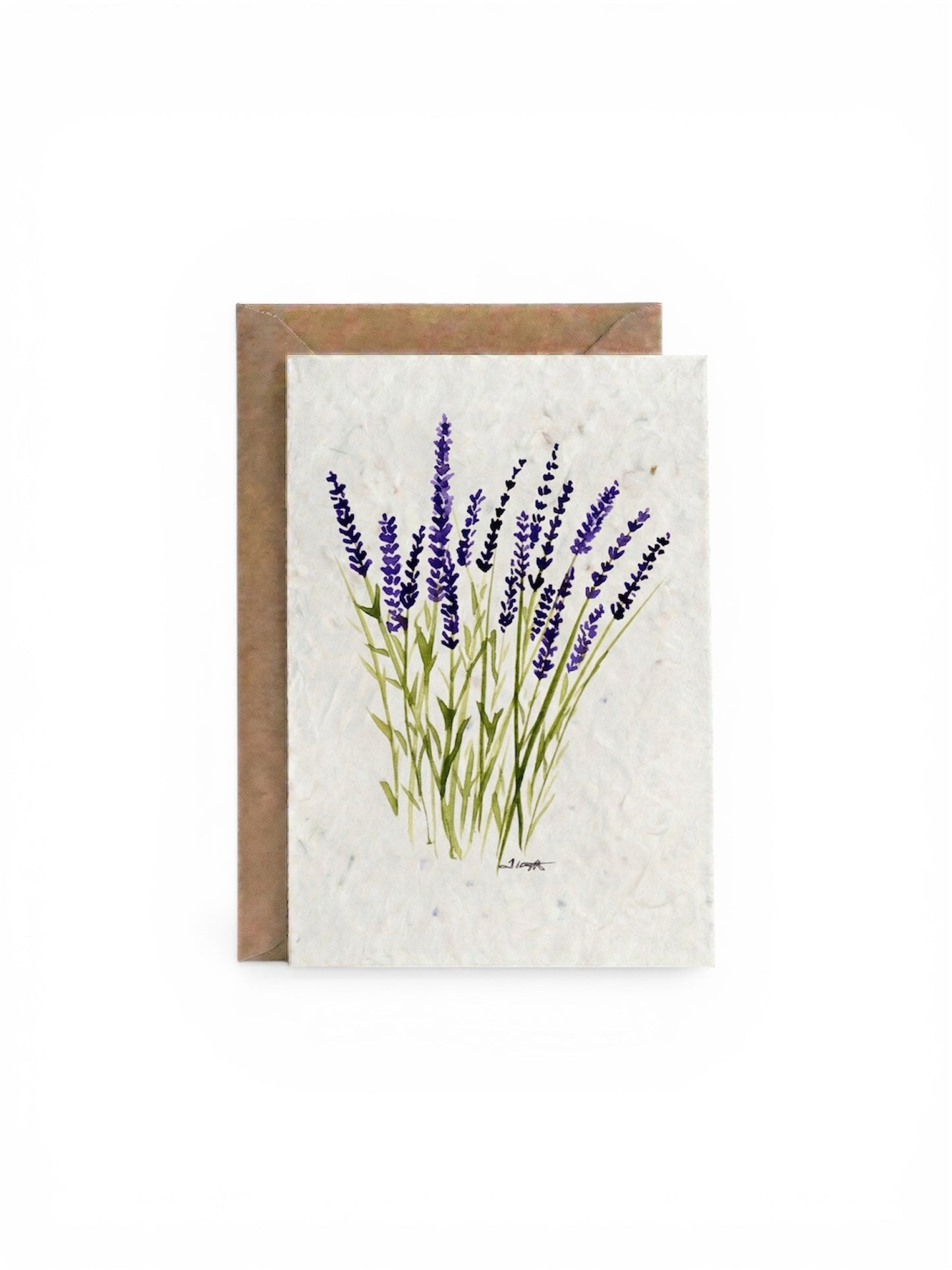 Plantable Seed Card  Flower Lavender