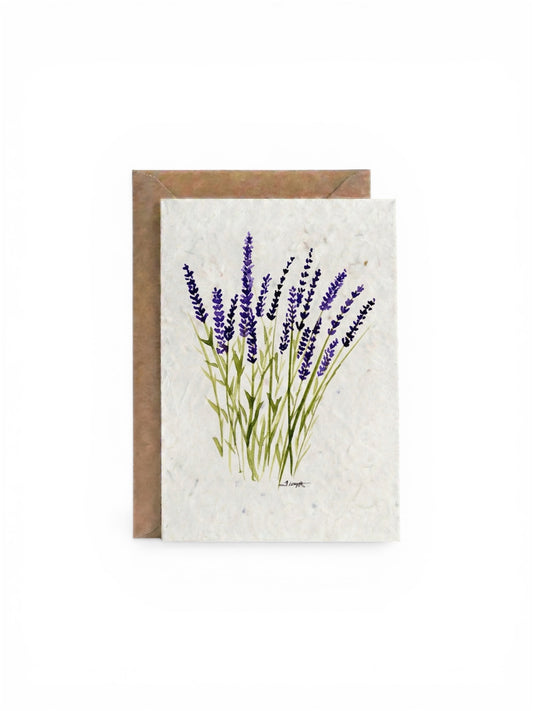 Plantable Seed Card  Flower Lavender