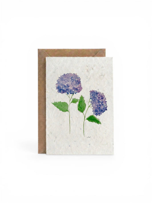 Plantable Seed Card  Flower Hydrangea