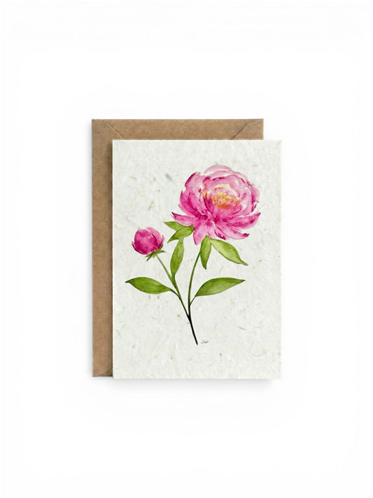 Plantable Seed Card  Flower Peonies
