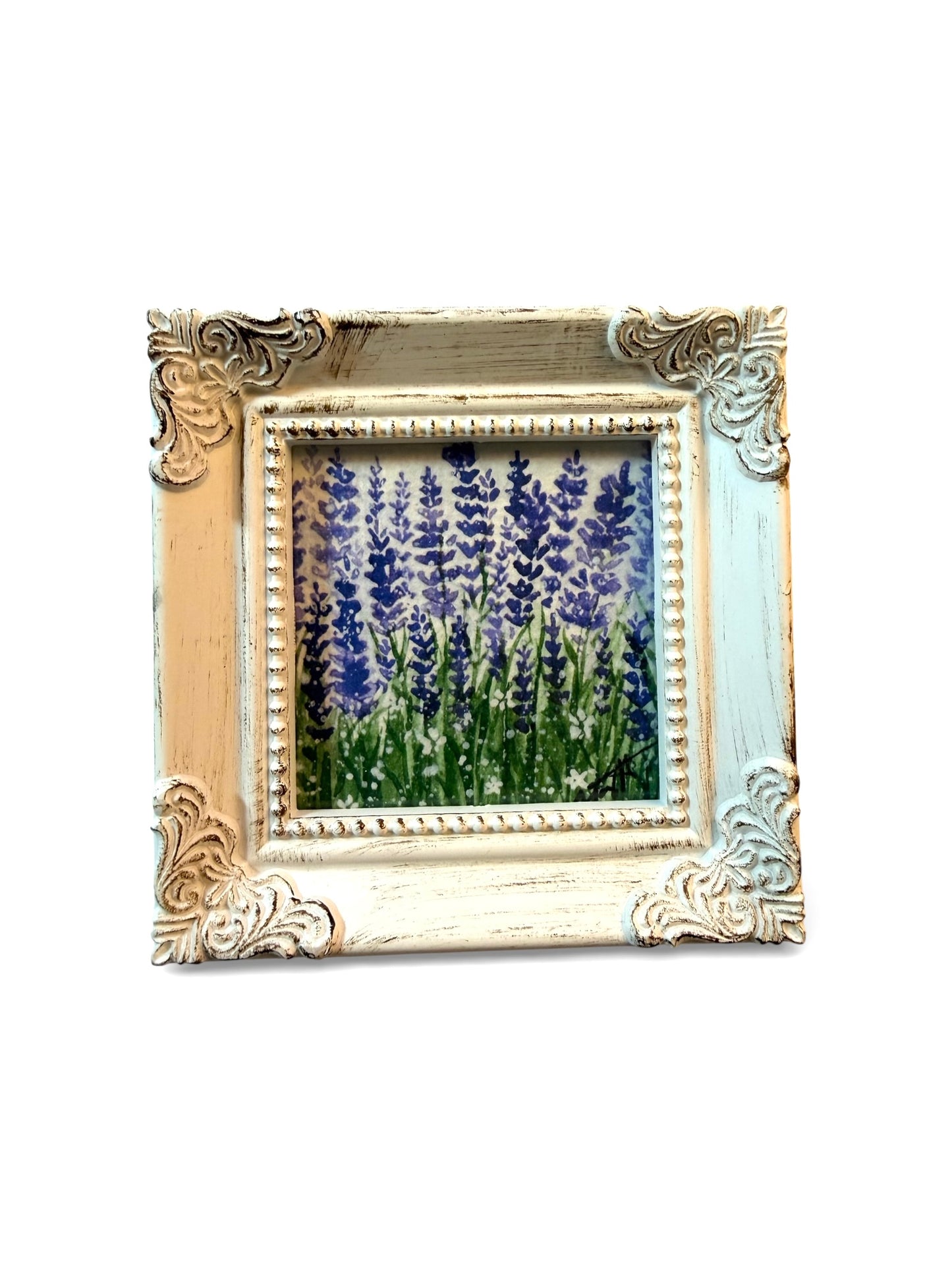 Lavender Field Print