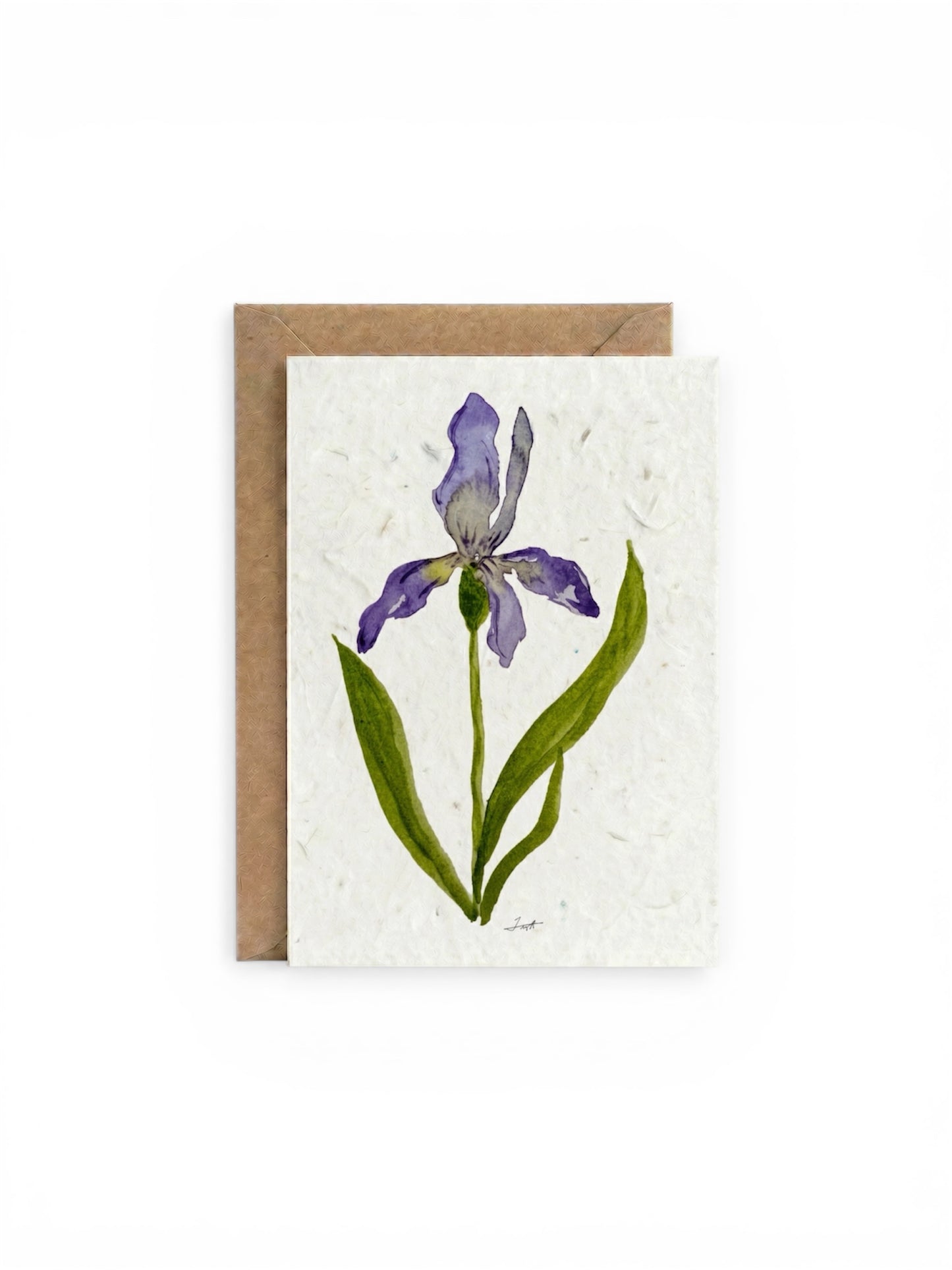 Plantable Seed Card  Flower Iris