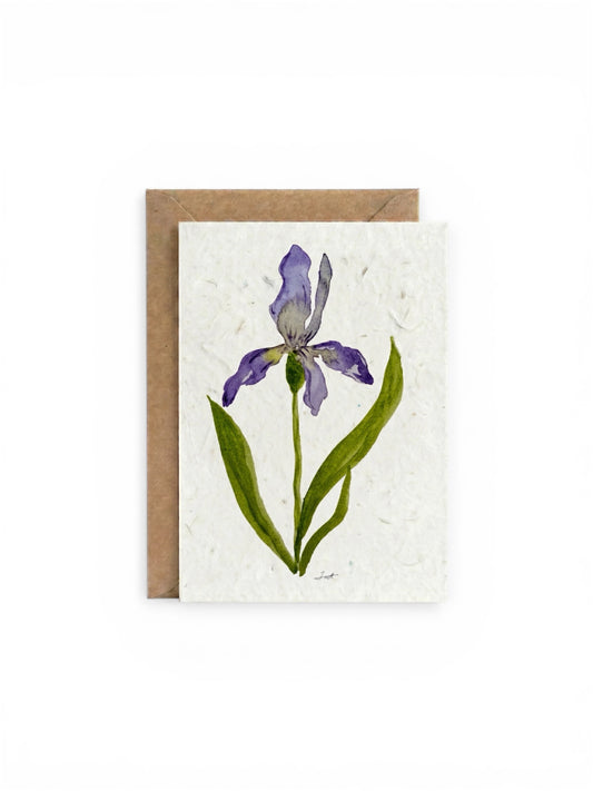 Plantable Seed Card  Flower Iris