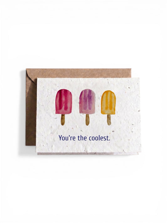 Plantable Seed Card Birthday Popsicle Coolest HB